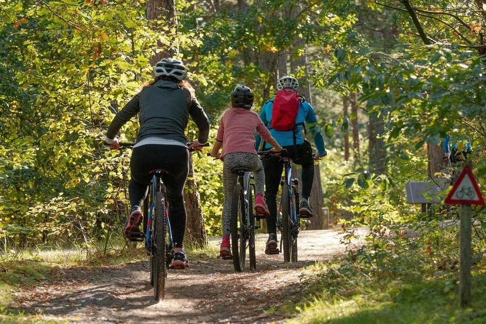 pessoas andando de bicicleta na floresta